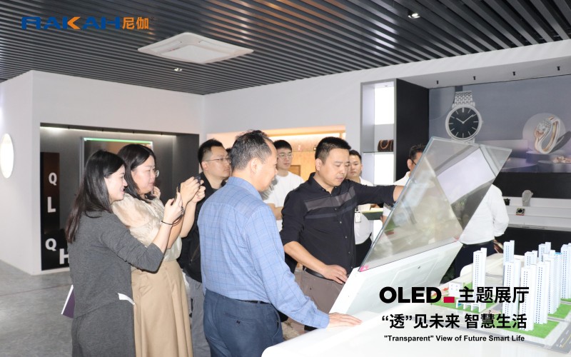 OLED主題展廳